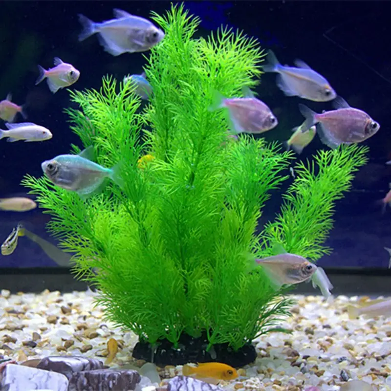 Aquarium Plants Live - 인공 수족관 장식 식물 수중 물