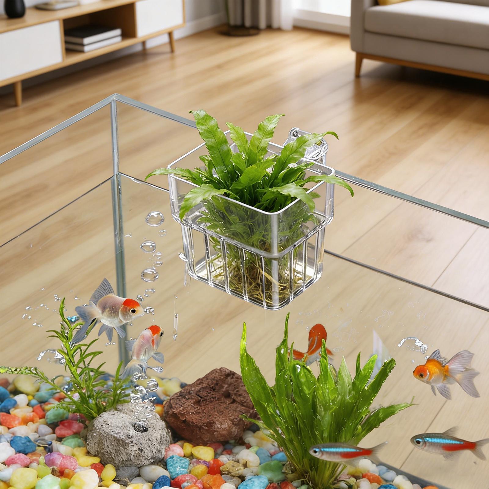 Aquarium Plant Holder - 어항 고정 바구니 벽걸이형 수초 재배