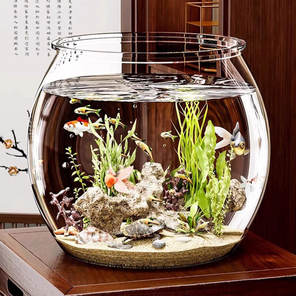 Plant Aquarium Pot - 투명 플라스틱 원형 어항 수족관 거실