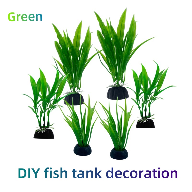 Live Plant Aquarium - 6개들이 포장, 수족관 식물, 가정 및