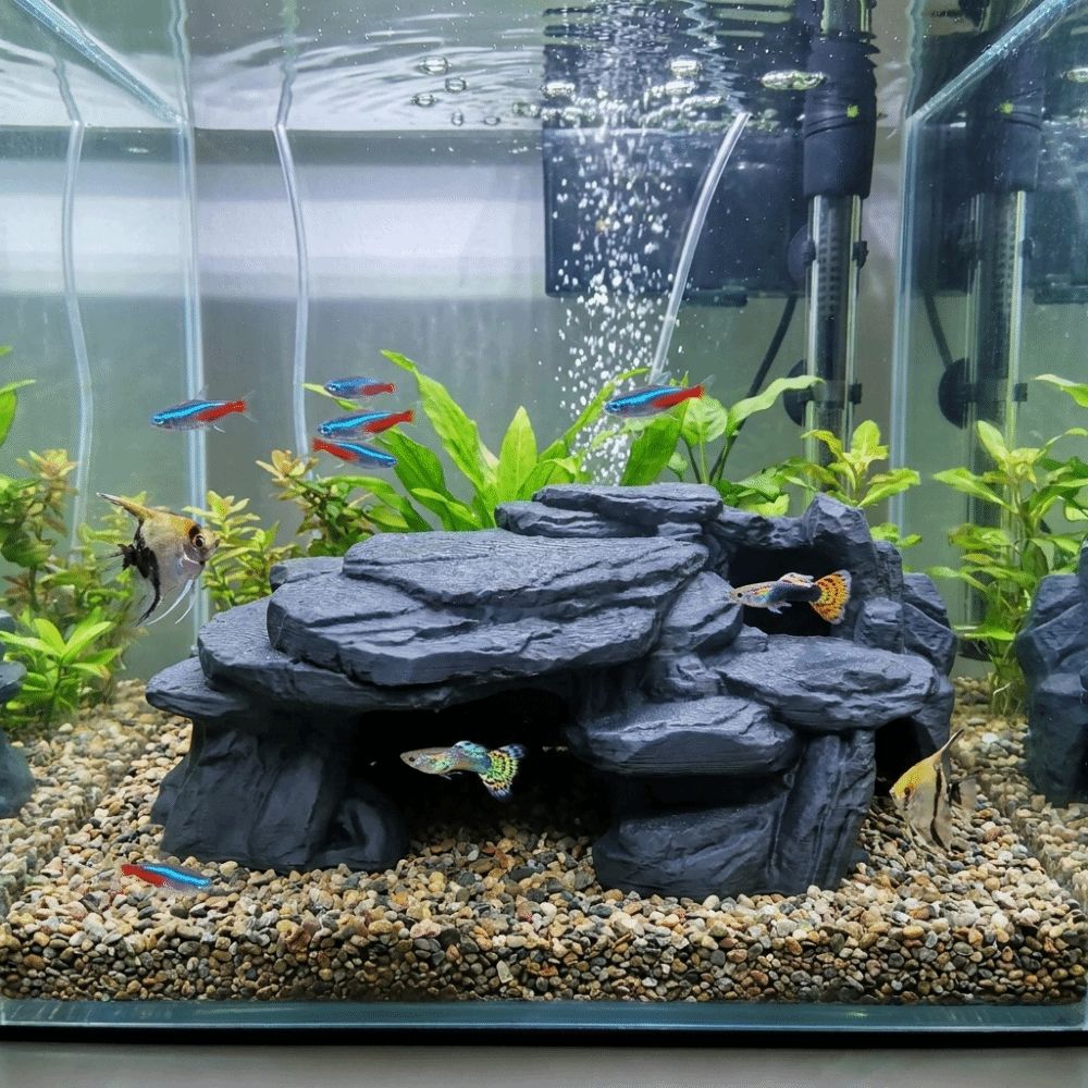3D 프린팅 어항 석가산 장식품 사실적인 질감의 모조  - Aquarium Plants Live 리뷰 및 가격