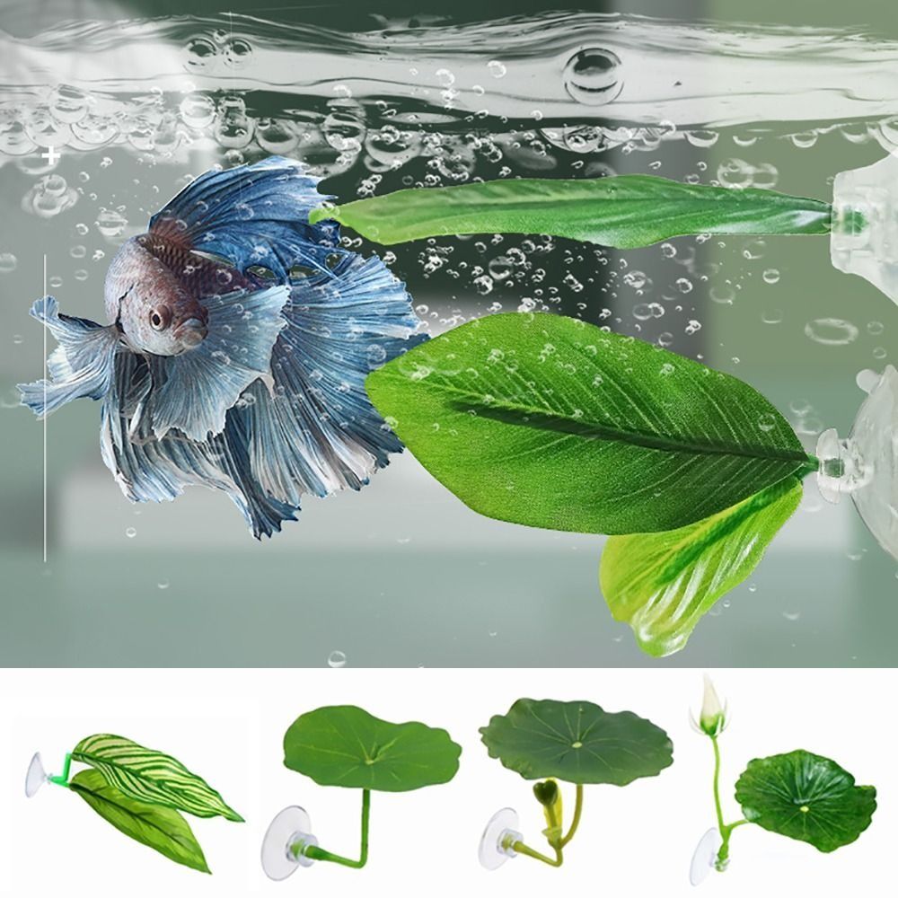플라스틱 베타 물고기 휴식 잎 모형 연꽃 잎/인공 잎  - Aquarium Plant Holder 리뷰 및 가격