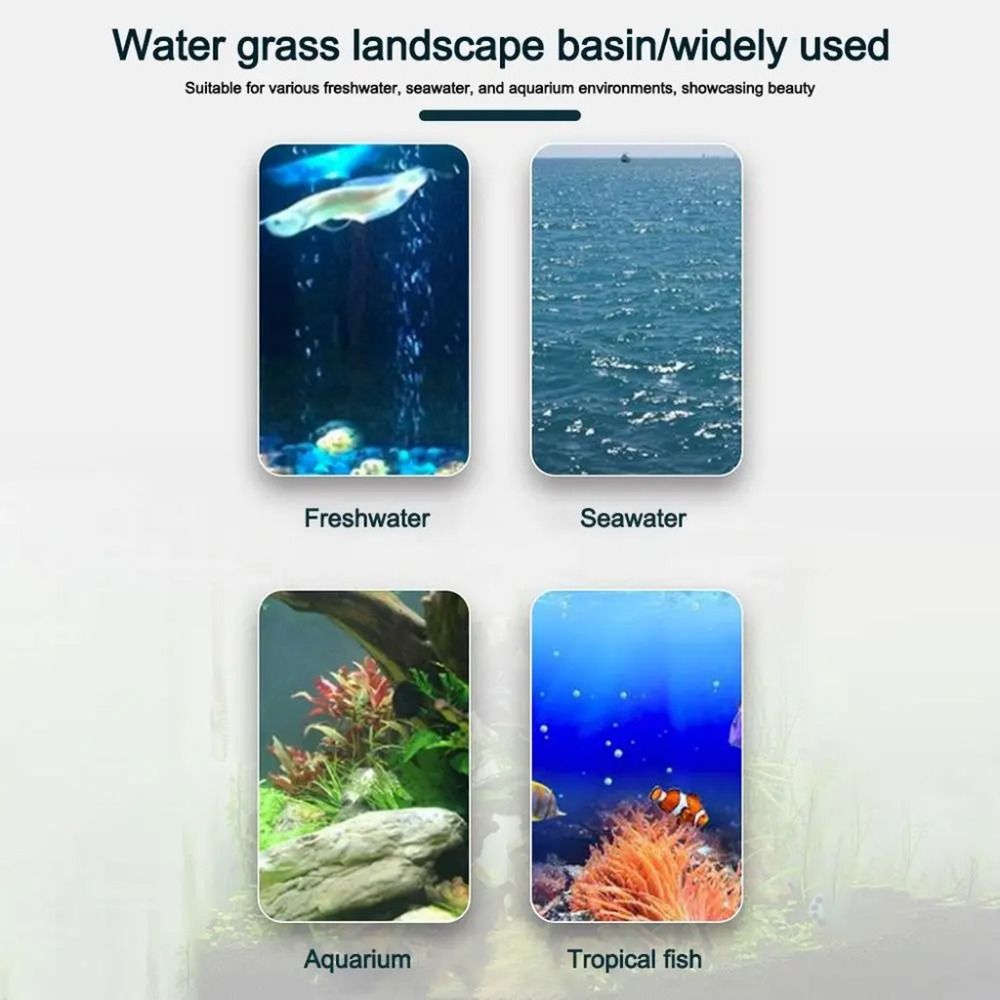 10Pcs 투명 식물 수경 재배 냄비 플라스틱 흡입 베 - Aquarium Plant Holder 리뷰 및 가격