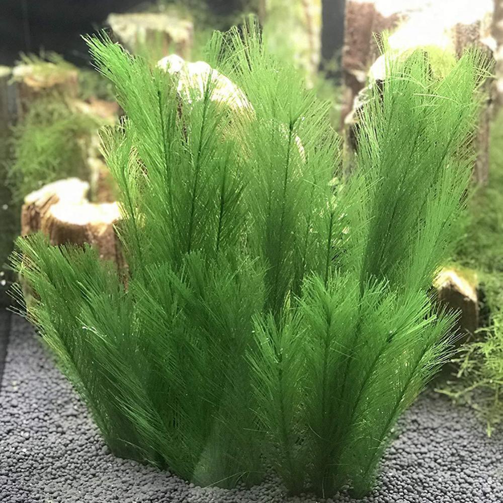 1/3Pcs 28/40cm 수족관 물고기 탱크 인공 물 - Live Plant Aquarium 리뷰 및 가격
