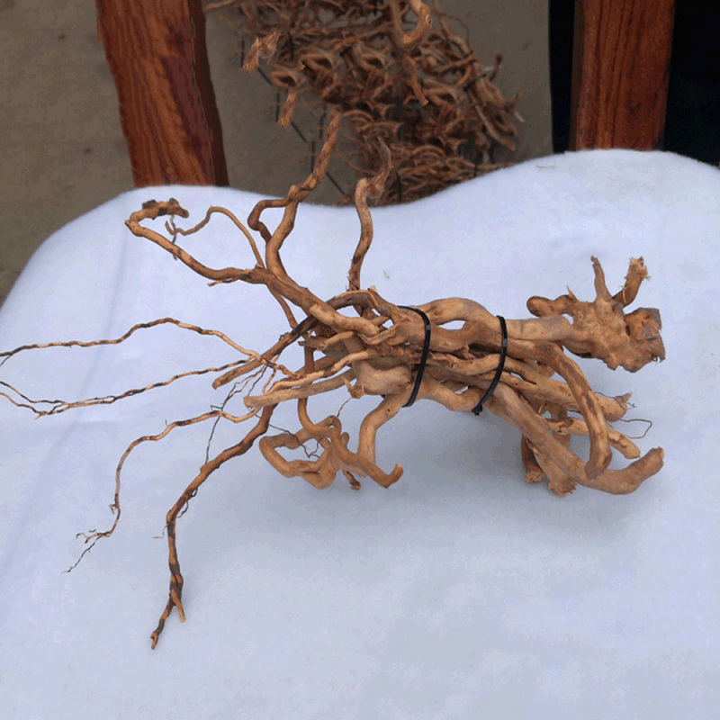 수족관 미니어처 풍경 DIY용 천연 유목 뿌리나무 장식 - Aquarium Driftwood 리뷰 및 가격