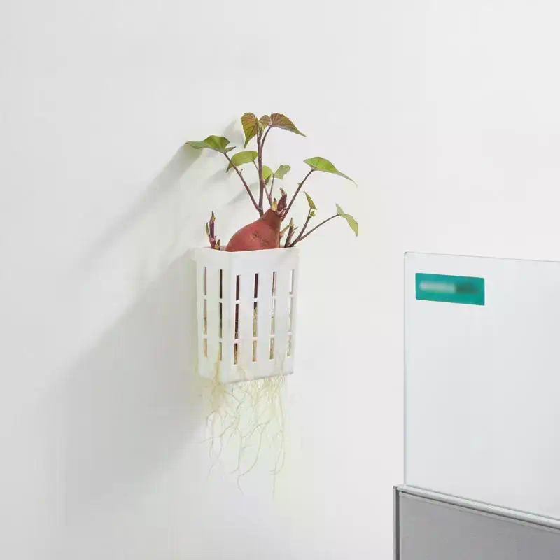 1개 수경재배 지지 바구니 어항 식물 재배 컵 수초 수 - Aquarium Plant Holder 리뷰 및 가격