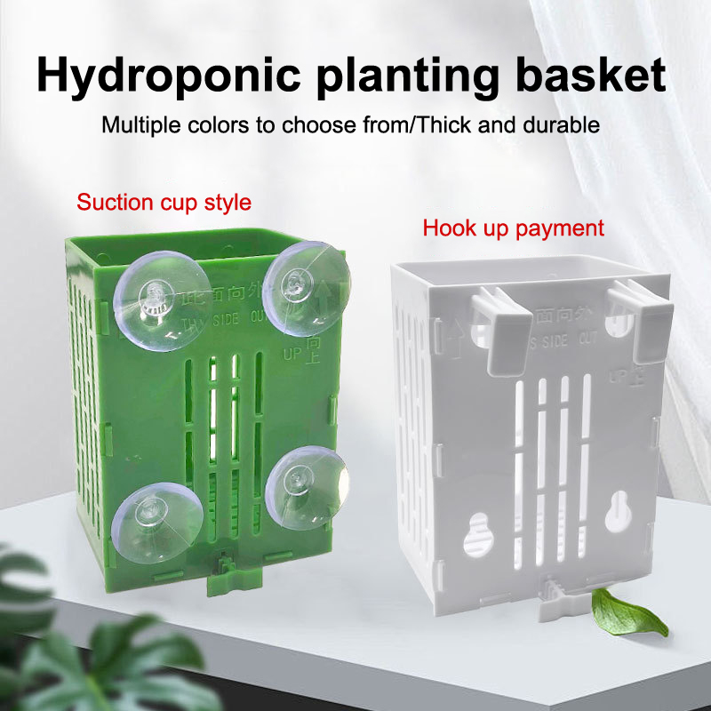 행잉 흡입 컵 후크 수족관 식물 거치대 플라스틱 수족관 - Aquarium Plant Holder 리뷰 및 가격