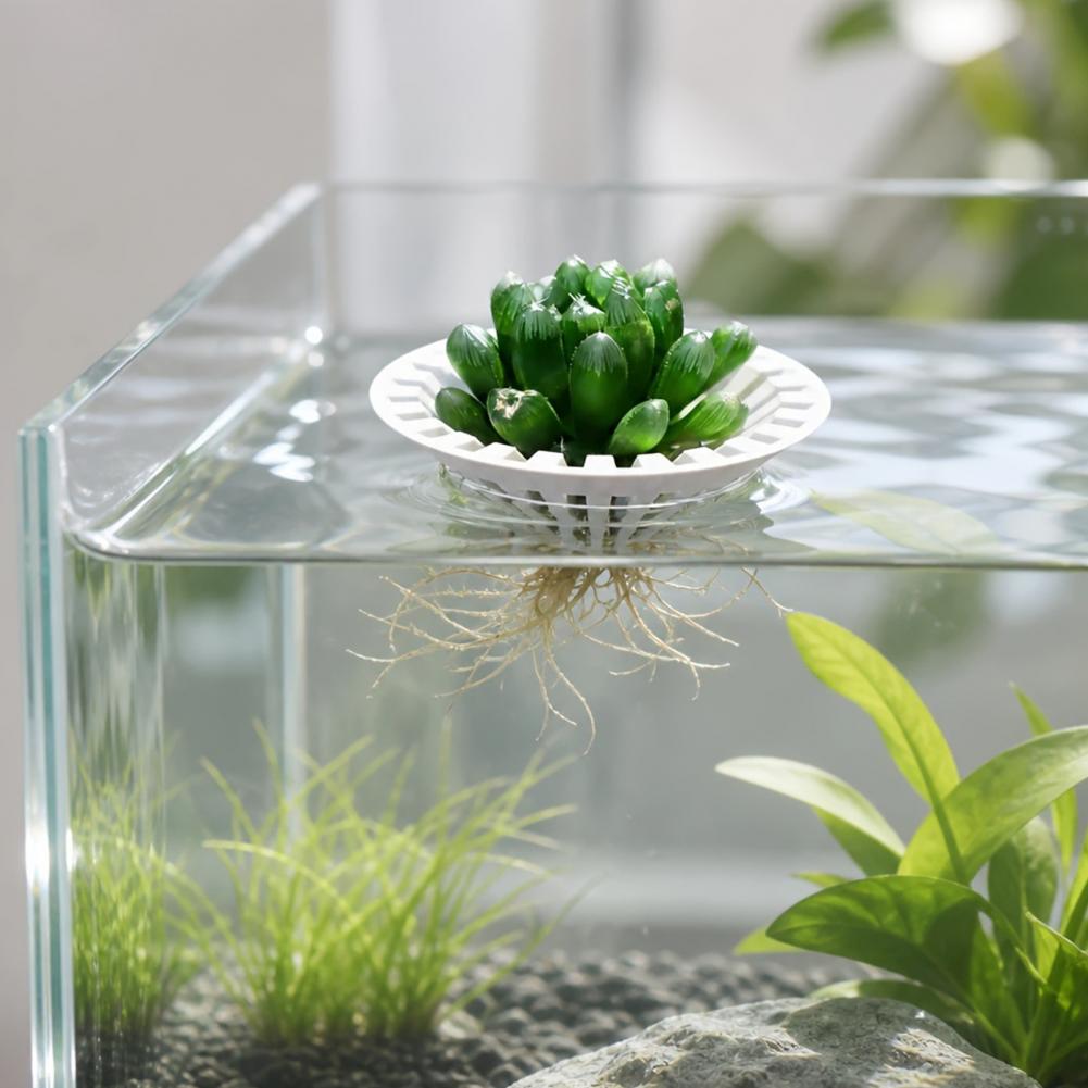 수족관용 수경 재배 화분, 3D 프린팅으로 제작된 부유 - Aquarium Plant Holder 리뷰 및 가격