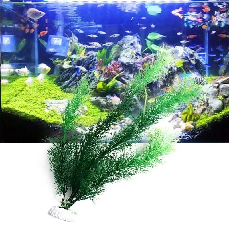 인공 수족관 장식 식물 수중 물 잔디 수족관 장식을위한 - Aquarium Plants Live 리뷰 및 가격