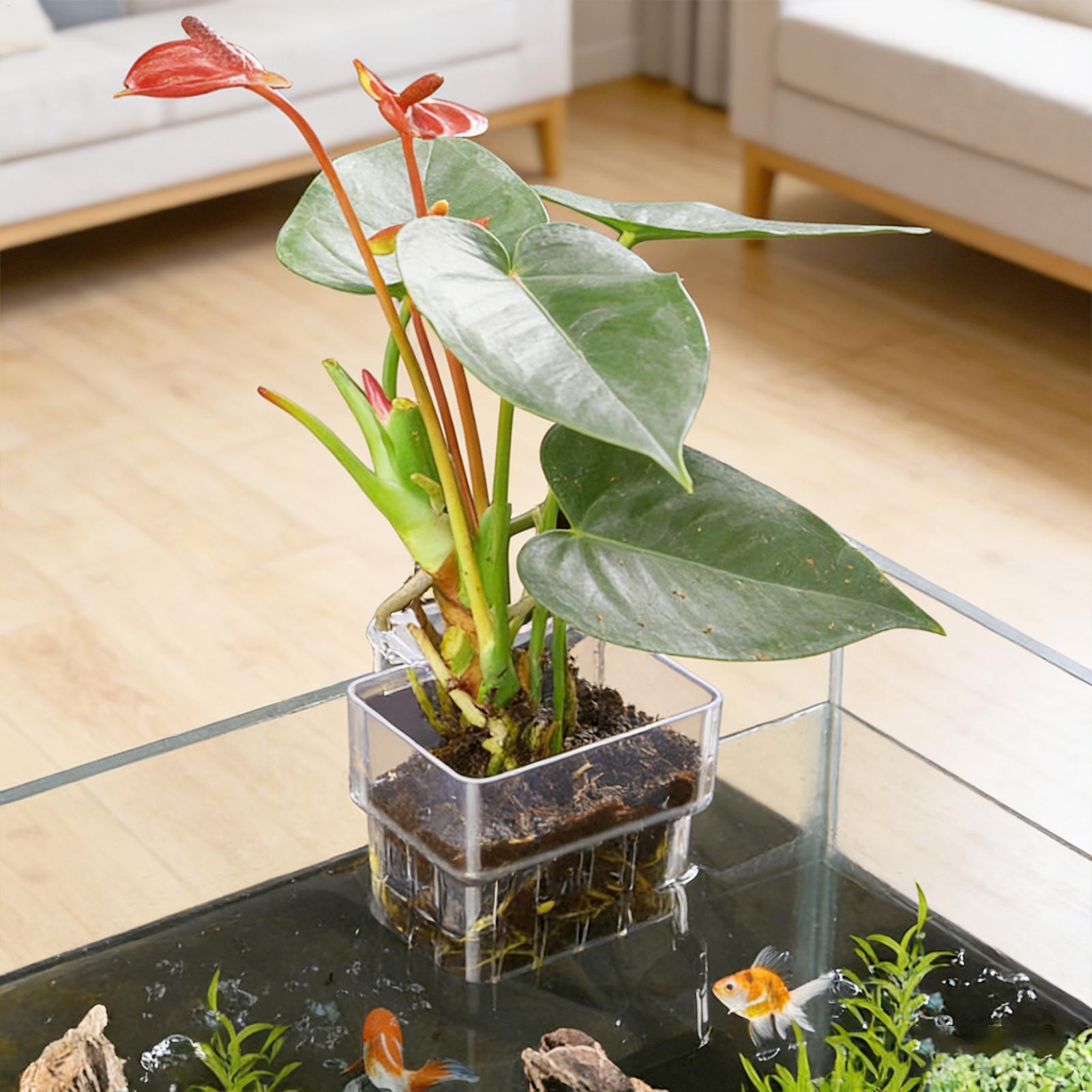 어항 고정 바구니 벽걸이형 수초 재배 바구니 수생 식물 - Aquarium Plant Holder 리뷰 및 가격
