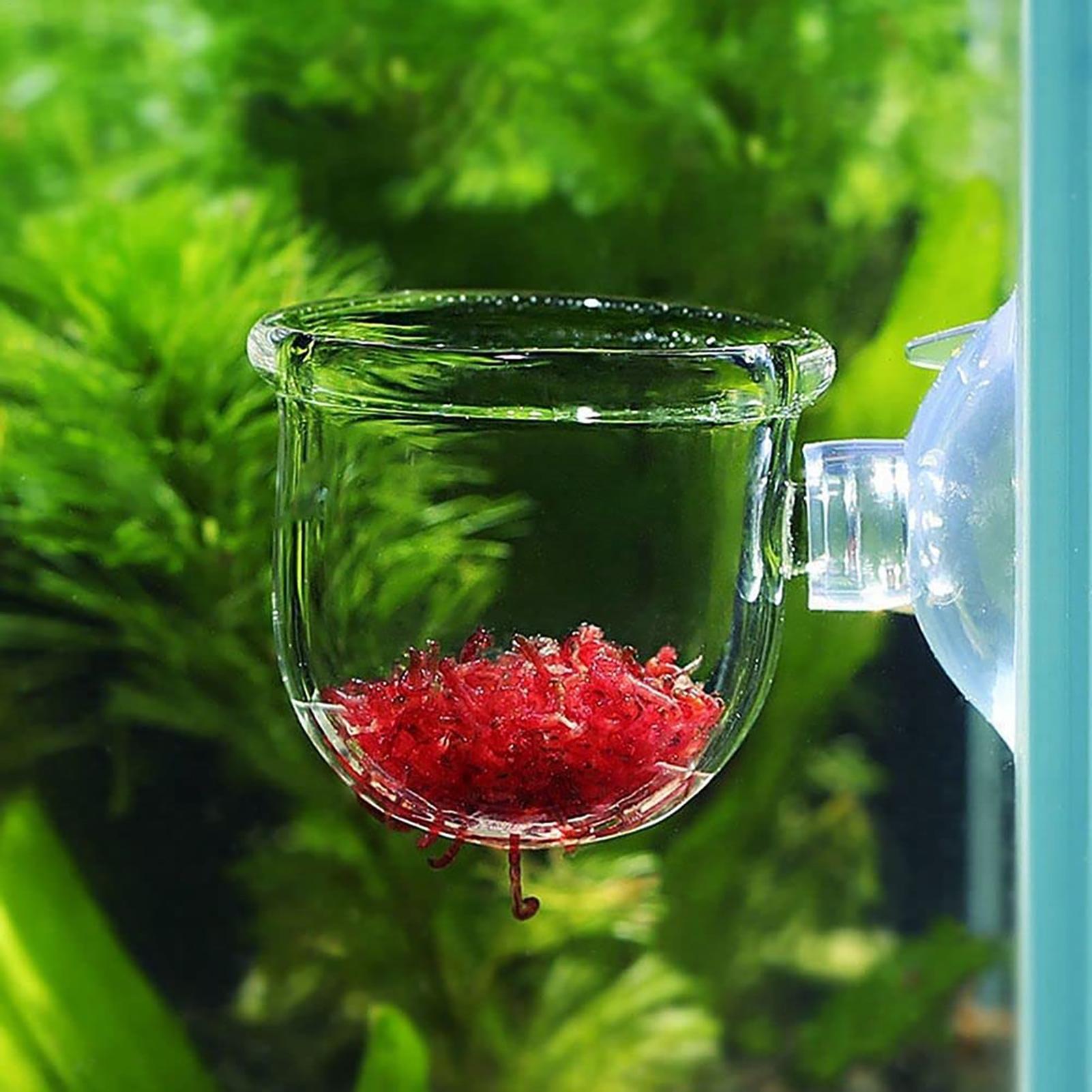 수족관 장식용 식물 화분, 흡착 컵이 달린 아크릴 재질 - Plant Aquarium Pot 리뷰 및 가격