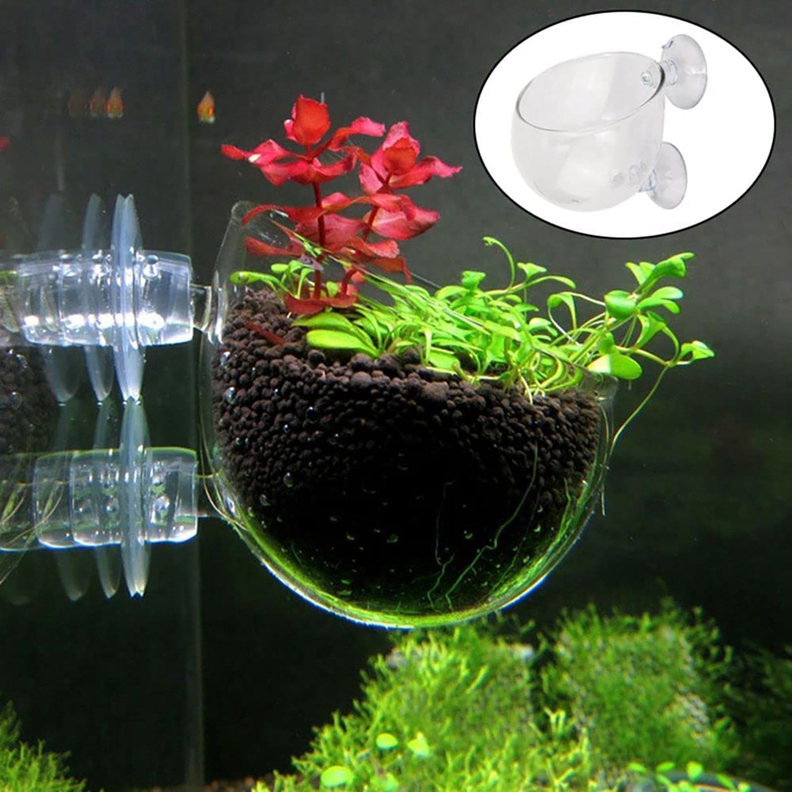 수족관 장식용 식물 화분, 흡착 컵이 달린 아크릴 재질 - Plant Aquarium Pot 리뷰 및 가격