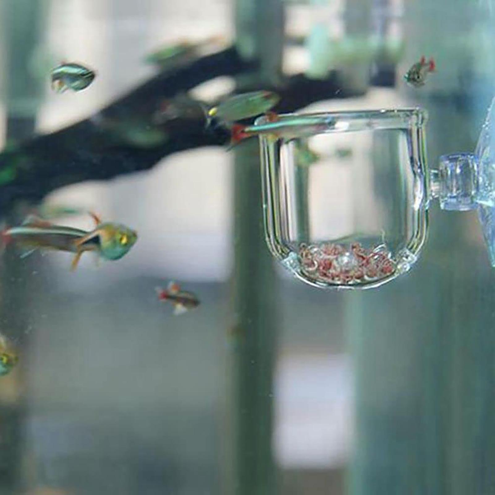 수족관 장식용 식물 화분, 흡착 컵이 달린 아크릴 재질 - Plant Aquarium Pot 리뷰 및 가격