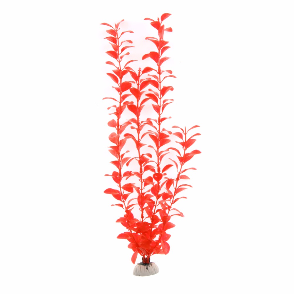 장식 수족관 액세서리 인공 수중 식물 수족관 물고기 탱 - Live Plant Aquarium 리뷰 및 가격