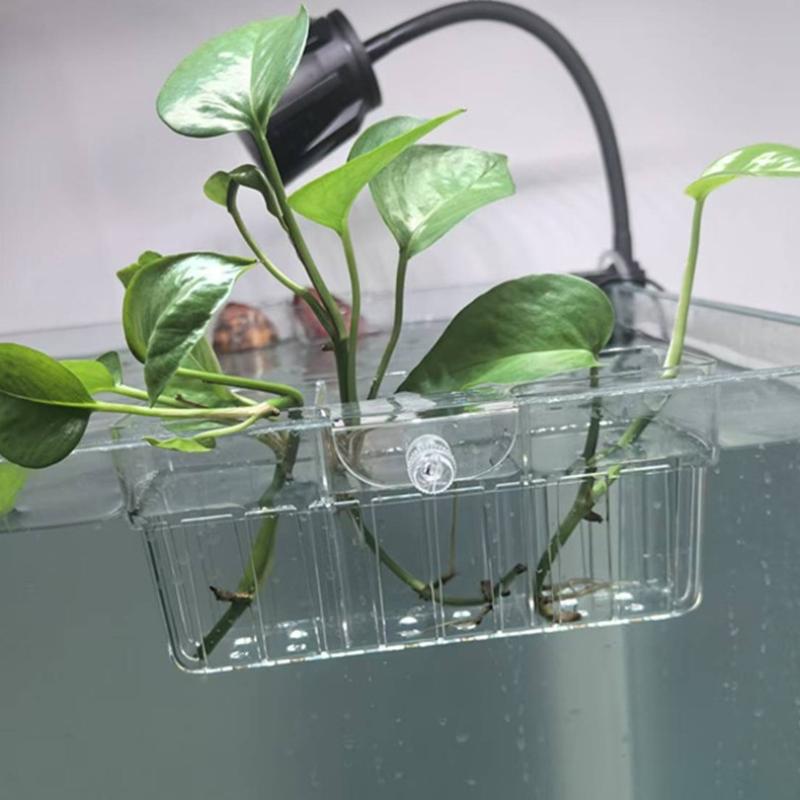수경재배 식물 바구니 식품 등급 수생 식물 홀더 1개입 - Planted Tank 리뷰 및 가격