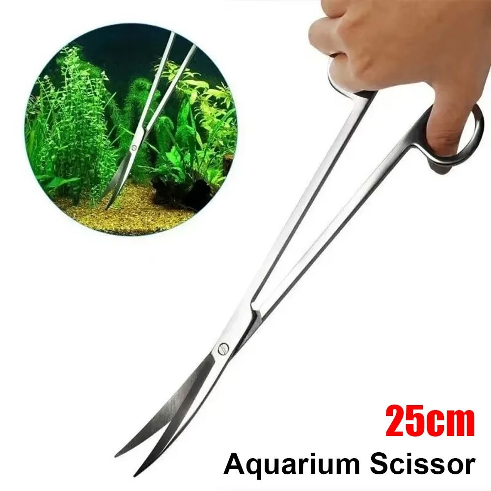 1개 스테인레스 스틸 수족관 가위 직선형 곡선형 25c - Planted Aquarium Cleaning 리뷰 및 가격