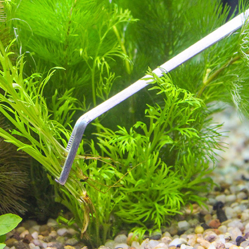 전문가용 수족관 관리 도구 세트: 생물이 있는 수족관, - Live Plant Aquarium 리뷰 및 가격