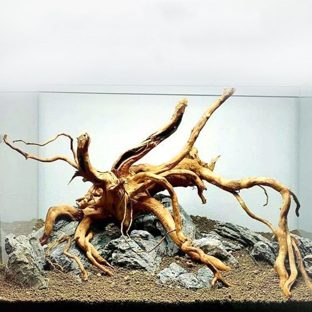 20-25CM 대형 수족관 유목 자연식물 장식 나무 어 - Aquarium Driftwood 리뷰 및 가격