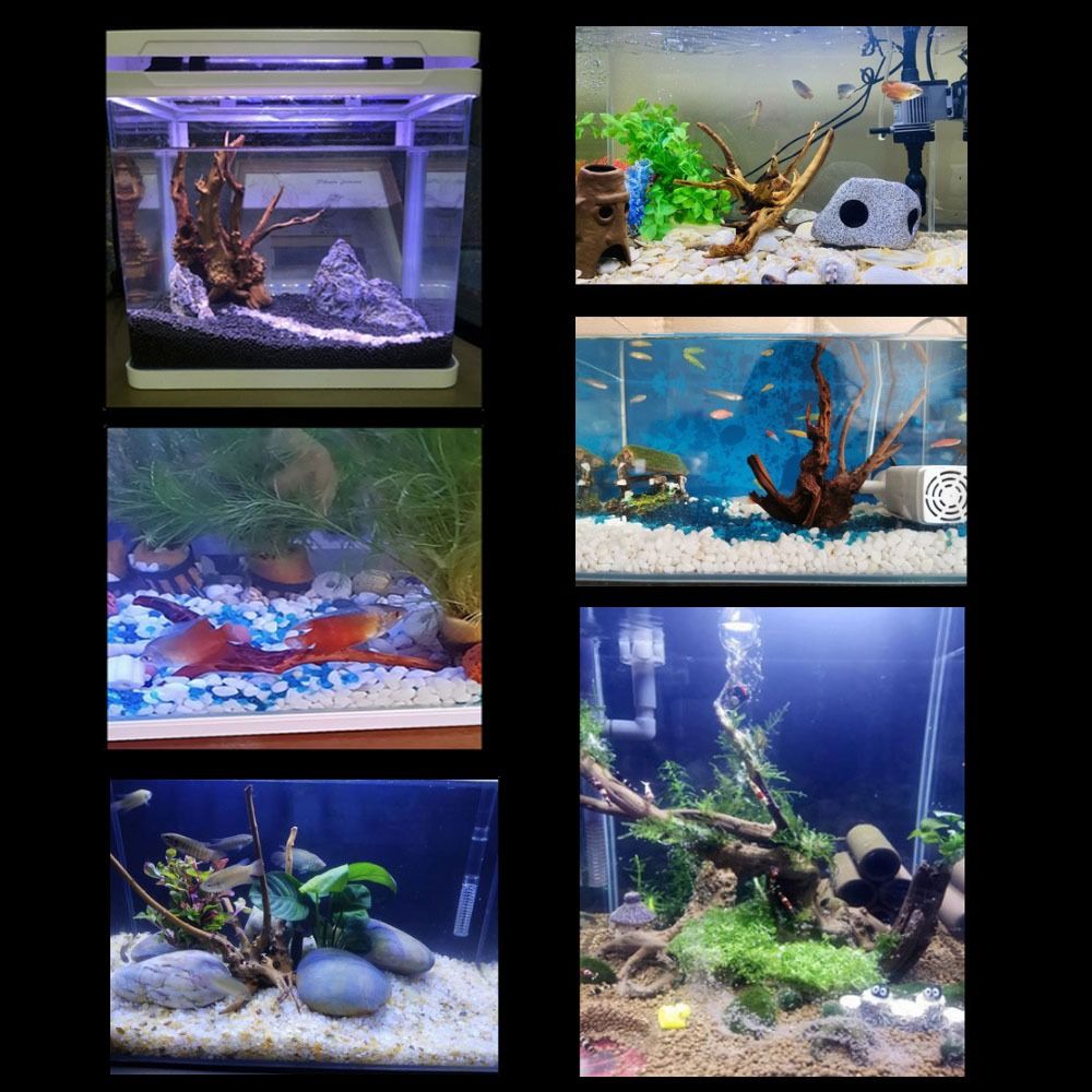 20-25CM 대형 수족관 유목 자연식물 장식 나무 어 - Aquarium Driftwood 리뷰 및 가격