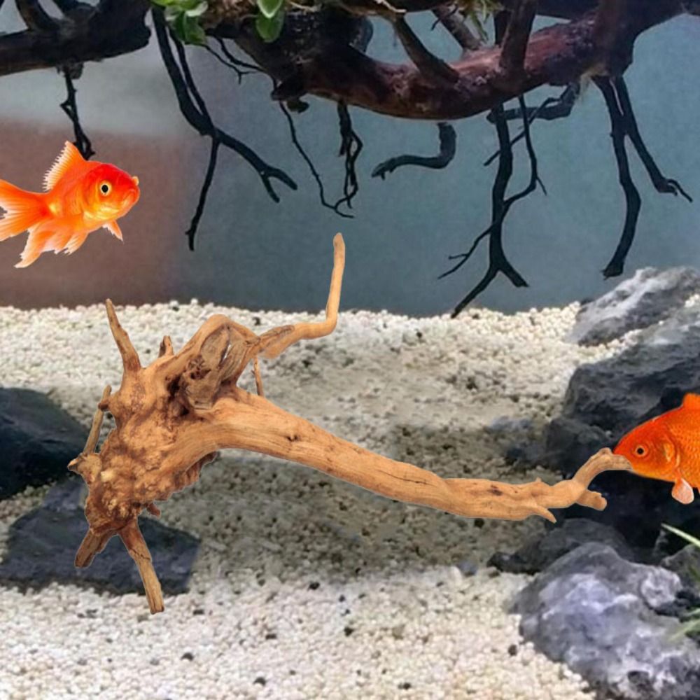 20-25CM 대형 수족관 유목 자연식물 장식 나무 어 - Aquarium Driftwood 리뷰 및 가격