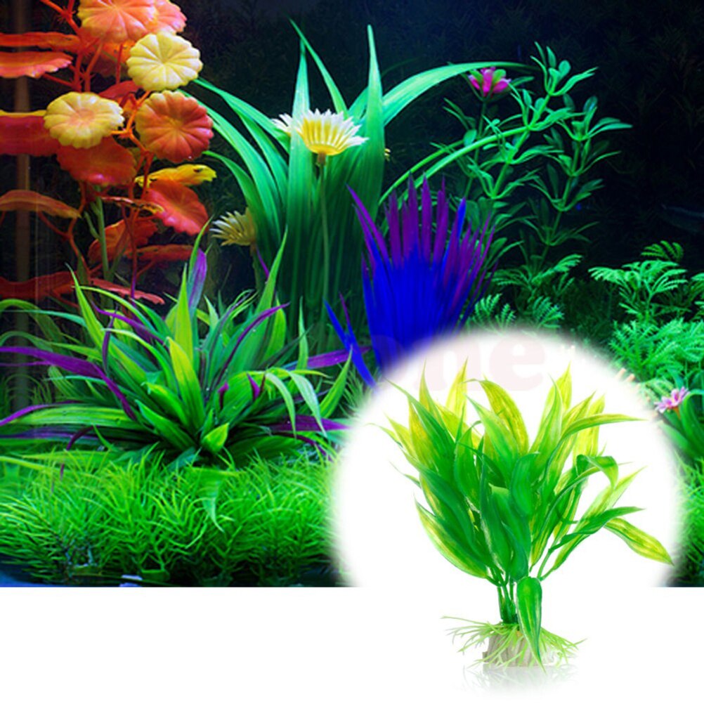 인공 수족관 장식 식물, 물 잡초 장식, 수생 식물,  - Live Plant Aquarium 리뷰 및 가격