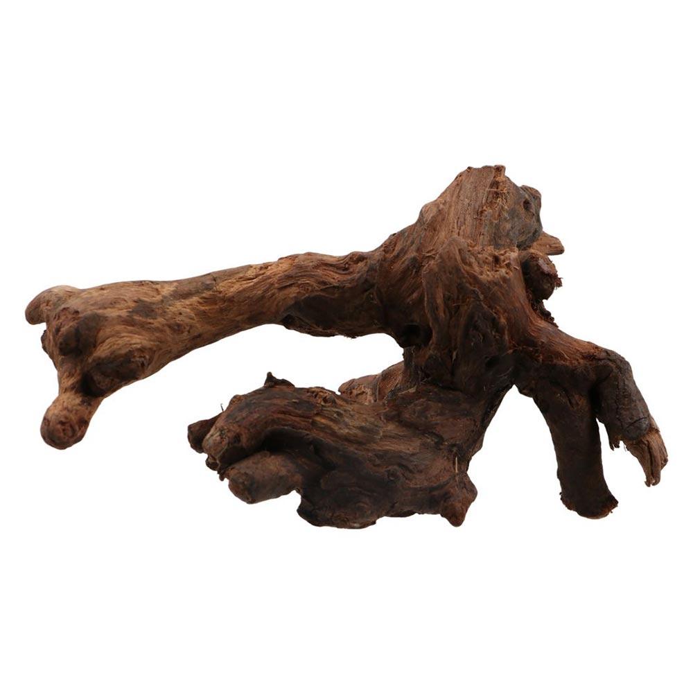창의적인 불규칙 모양의 산호나무 천연 나무 유목 트렁크 - Aquarium Driftwood 리뷰 및 가격