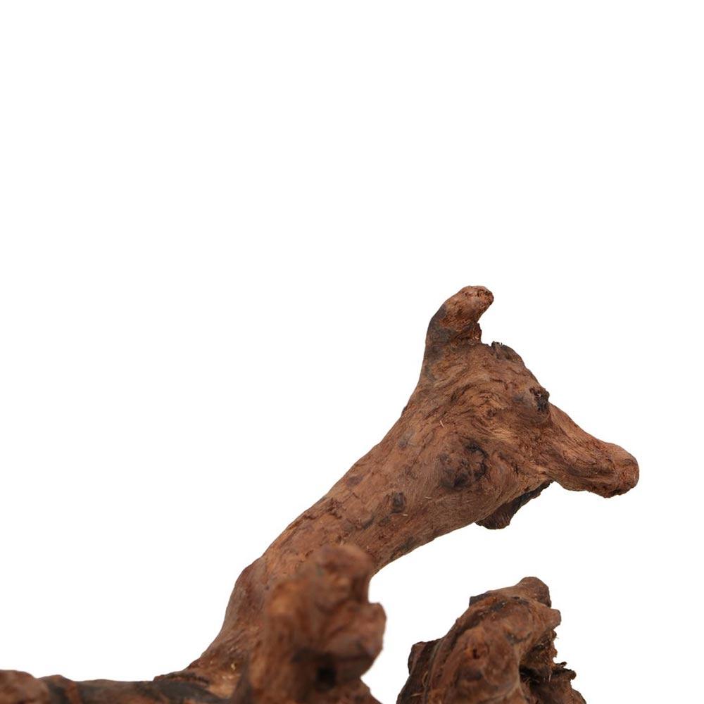 창의적인 불규칙 모양의 산호나무 천연 나무 유목 트렁크 - Aquarium Driftwood 리뷰 및 가격