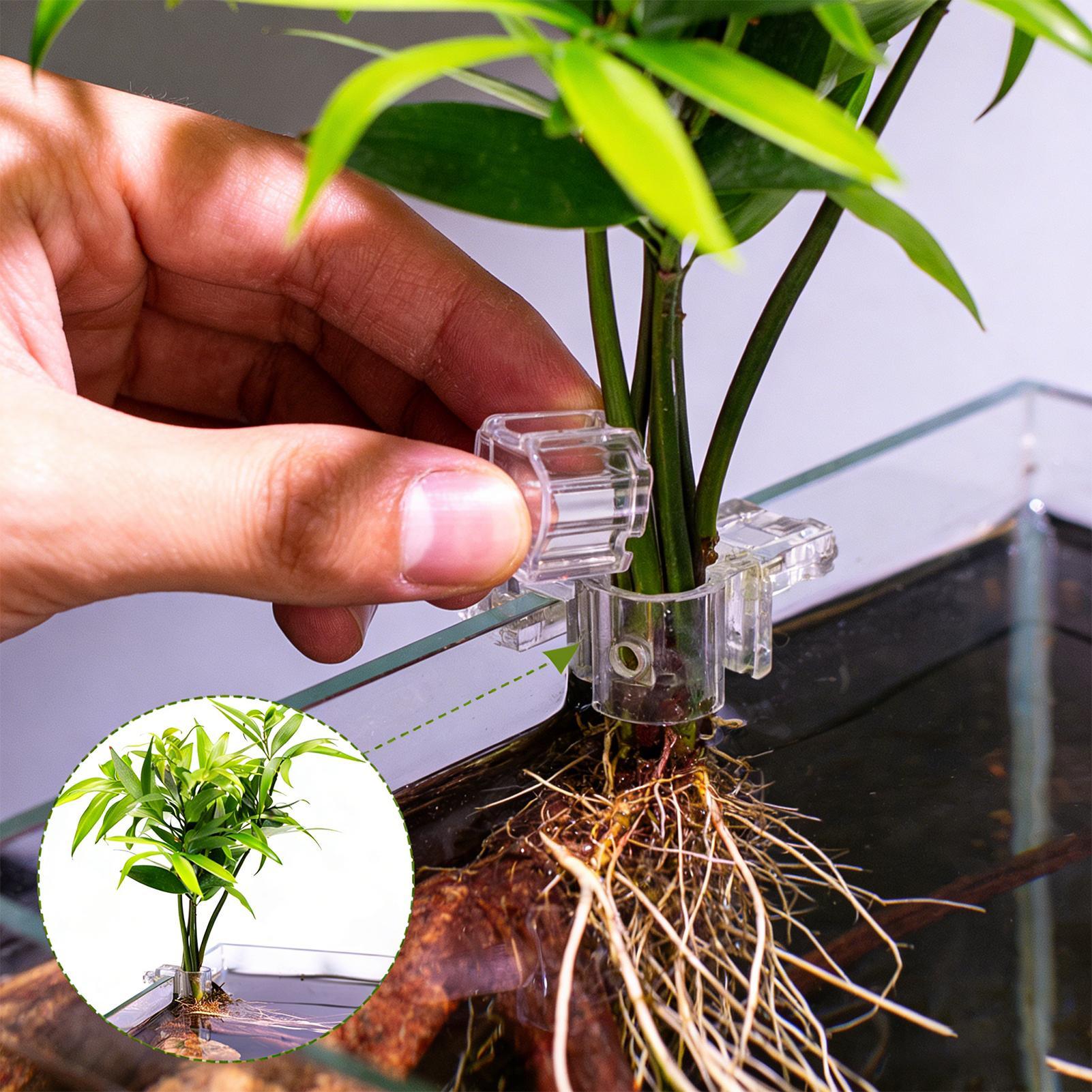 6pcs 수족관 식물 홀더 투명 식물 재배 브래킷 물고 - Aquarium Plants Live 리뷰 및 가격