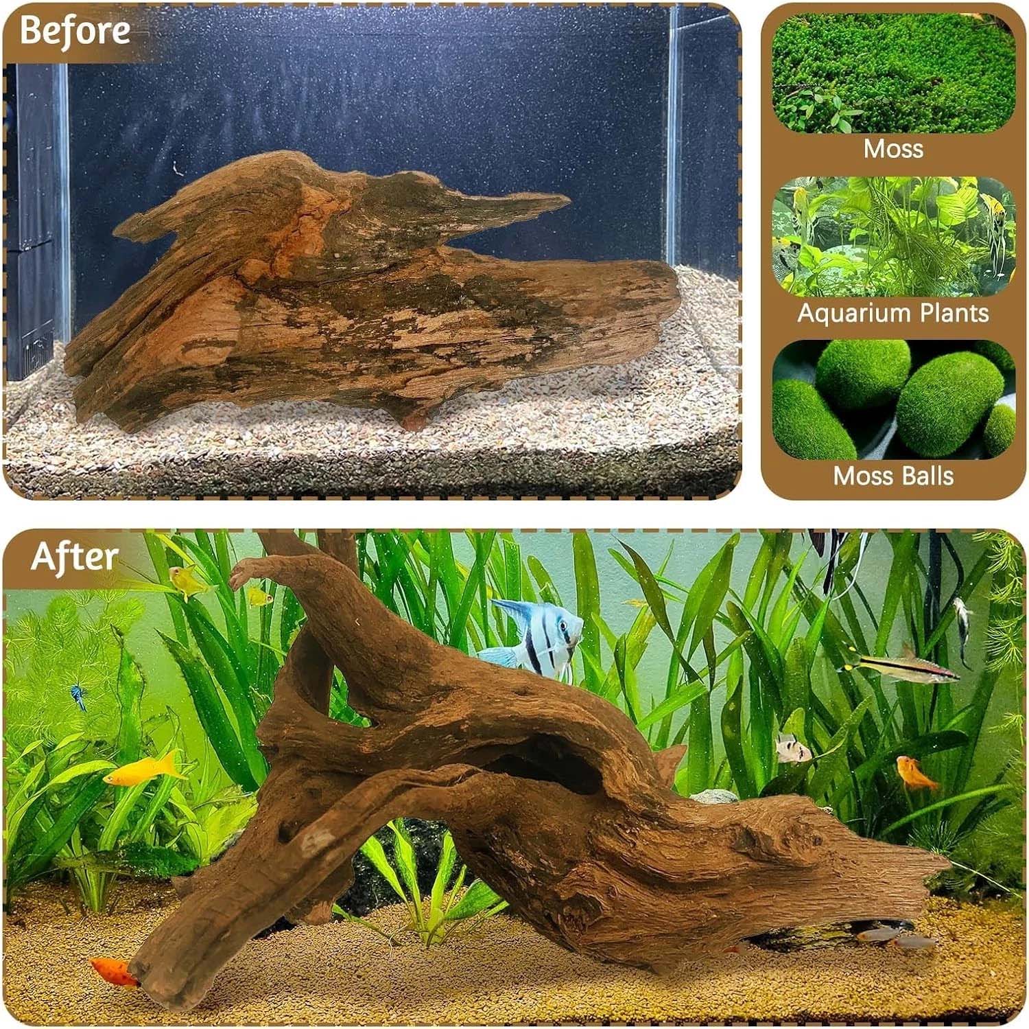 15-20CM 1개 천연 유목 산호초 장식 나무 수족관 - Aquarium Plants Live 리뷰 및 가격