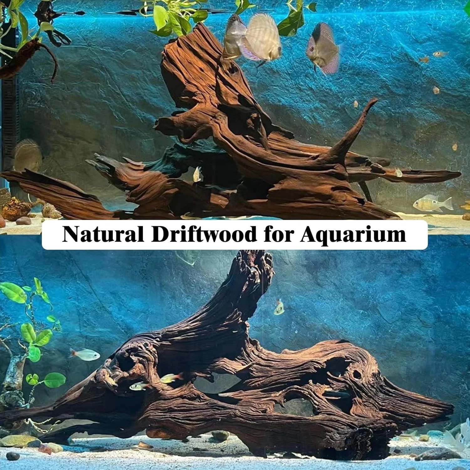 15-20CM 1개 천연 유목 산호초 장식 나무 수족관 - Aquarium Plants Live 리뷰 및 가격
