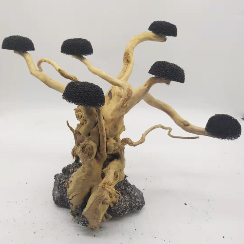 수족관 유목 조경 장식, 어항 목재 DIY 장식, DI - Aquarium Driftwood 리뷰 및 가격